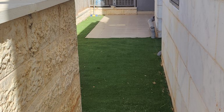 תמונה חצר