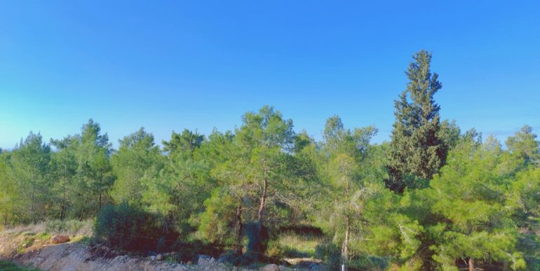 Screenshot_20251126_103609_Gallery