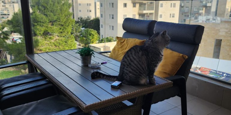 WhatsApp Image 2026-01-15 at 13.06.24