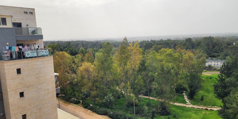 WhatsApp Image 2026-02-01 at 12.49.11