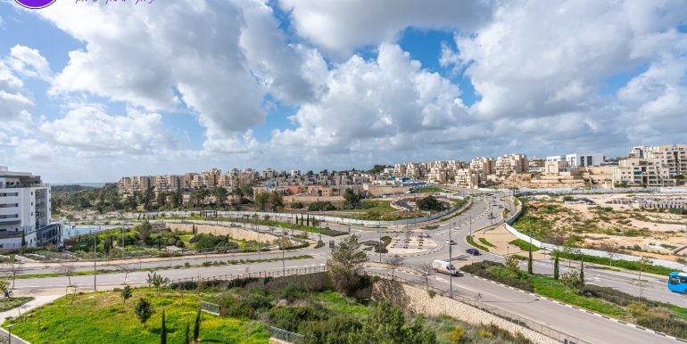 WhatsApp Image 2026-02-12 at 11.33.15