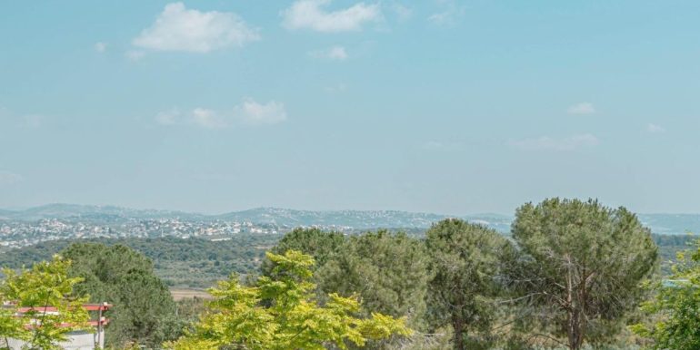 עיצוב ללא שם (1)