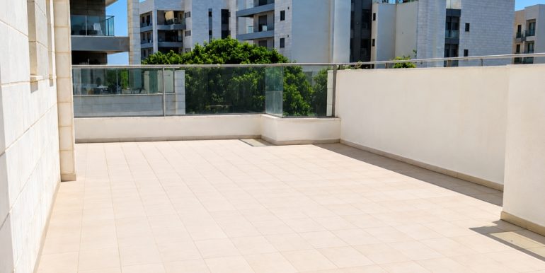 עיצוב ללא שם (3)