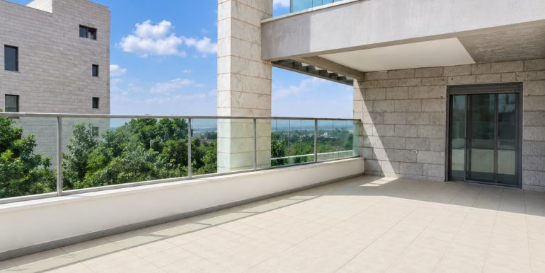 עיצוב ללא שם (5)